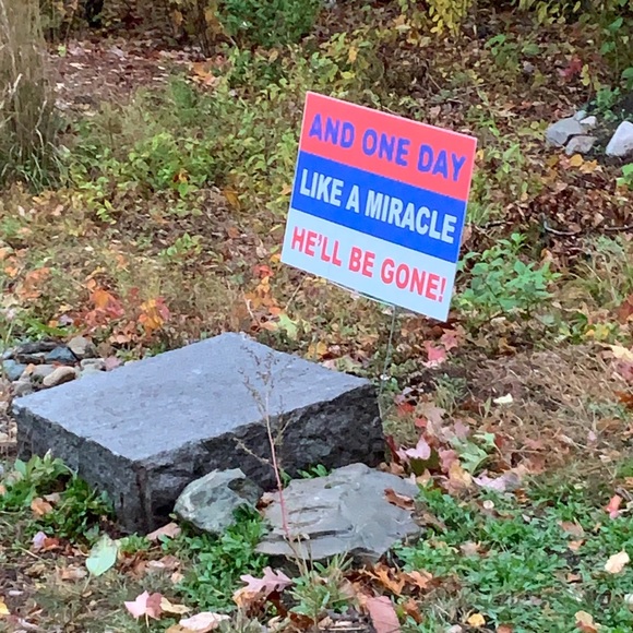 Meet your Posher, Paul - Picture 1 of 1